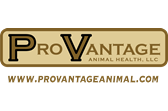 ProVantage Logo